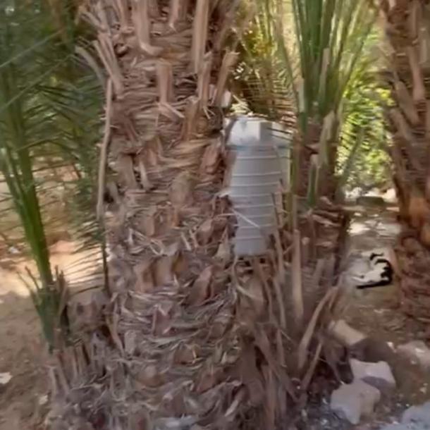 Gemütliche, renovierte 1-Zimmer-Wohnung im Erdgeschoss eines Wohngebäudes im Gebiet Mubarak 2-1