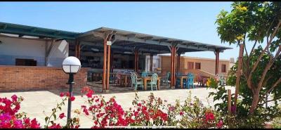 Ein-Zimmer-Wohnung mit Poolblick im Princess Resort