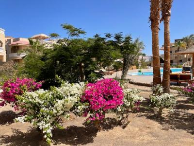 Geräumige Wohnung mit 2 Schlafzimmern im Bezirk Mubarak 7 im perfekten Zustand